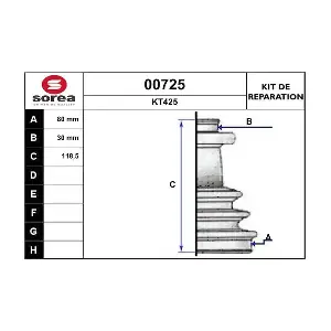00725 SNRA