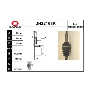 JH22163K SNRA