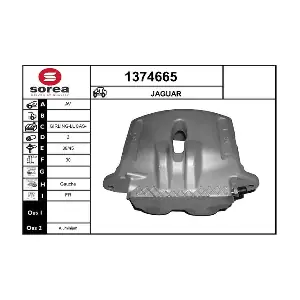 C2C12071 JAGUAR
