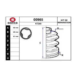 00965 SNRA