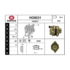 HO8031 SNRA