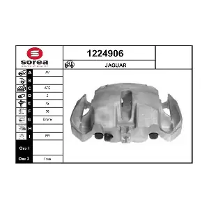 C2P21063 JAGUAR