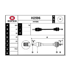 H2596 SNRA