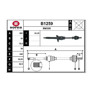 B1259 SNRA