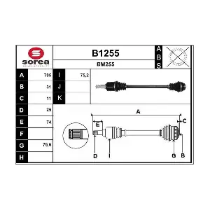 B1255 SNRA