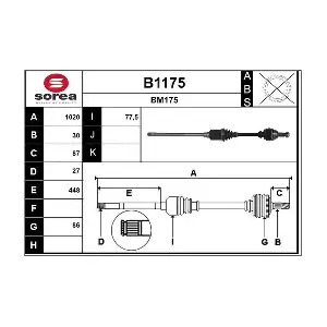 B1175 SNRA