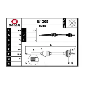B1309 SNRA