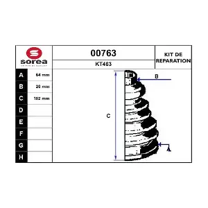 00763 SNRA