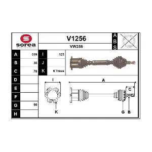 V1256 SNRA