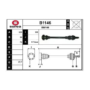 B1146 SNRA