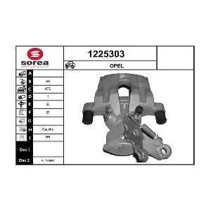 SNRA 1225303