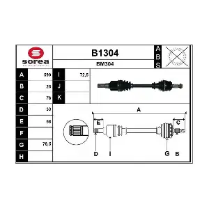 B1304 SNRA