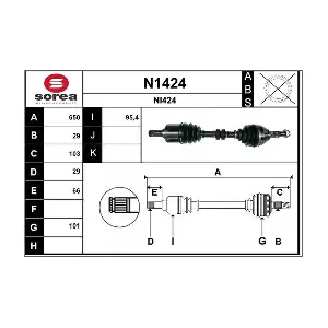 N1424 SNRA