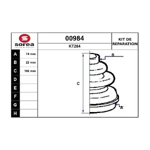 SNRA 00984