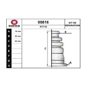 00816 SNRA