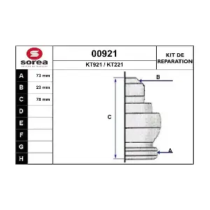 SNRA 00921