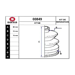 00849 SNRA