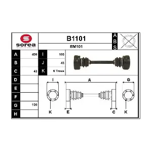 SNRA B1101