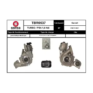 TBR0537 SNRA