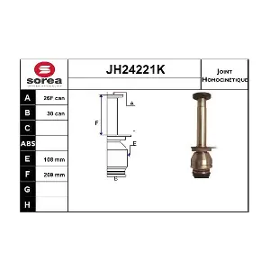 JH24221K SNRA