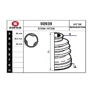 SNRA 00939
