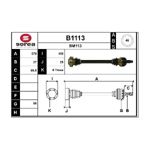 B1113 SNRA