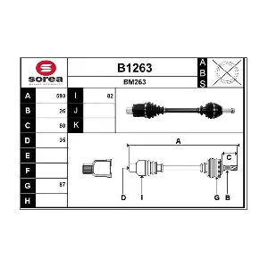 B1263 SNRA