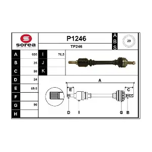 P1246 SNRA