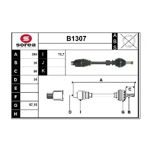 B1307 SNRA