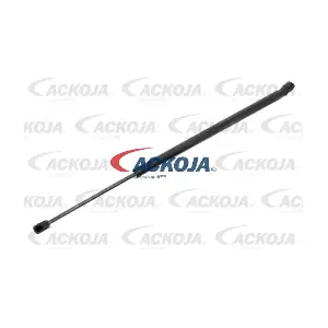 A32-0248 ACKOJA