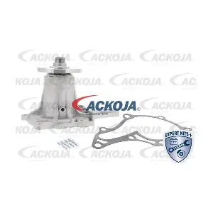 A70-50016 ACKOJA