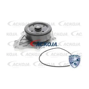 ACKOJA A70-50023