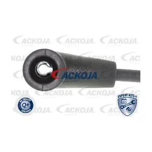 A51-70-0029 ACKOJA