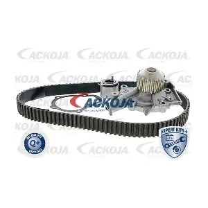 ACKOJA A51-0202W