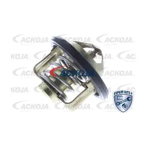A64-99-0007 ACKOJA