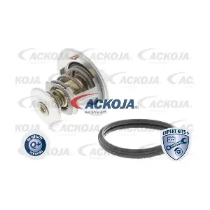 A38-99-0001 ACKOJA