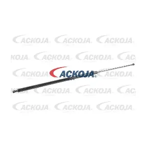 A38-0069 ACKOJA
