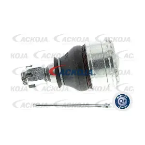 A26-1121 ACKOJA