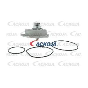 A26-50013 ACKOJA