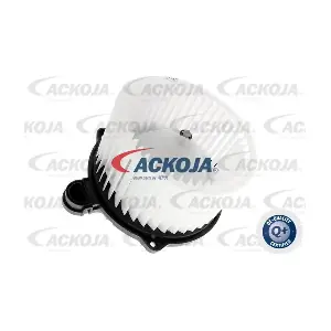 A52-03-0008 ACKOJA