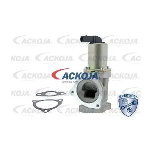 A52-63-0004 ACKOJA