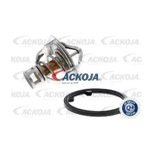 A38-99-0005 ACKOJA