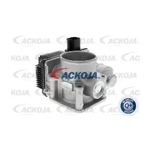 A38-81-0001 ACKOJA
