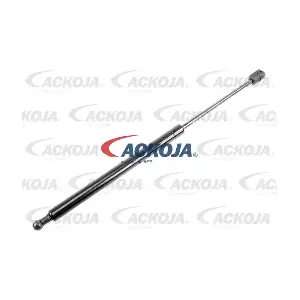 A52-0313 ACKOJA