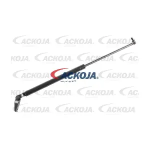 A32-0094 ACKOJA