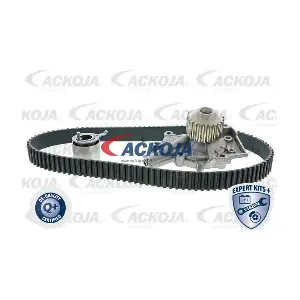 ACKOJA A51-0201W