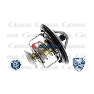 A26-99-0010 ACKOJA