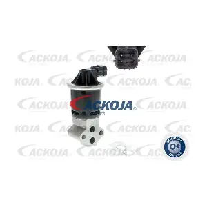 A51-63-0002 ACKOJA