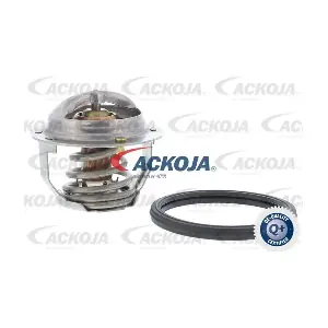 A63-99-0004 ACKOJA