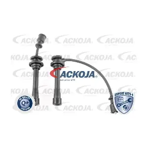 A53-70-0010 ACKOJA